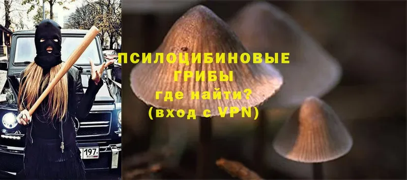 Галлюциногенные грибы MAGIC MUSHROOMS Заволжск