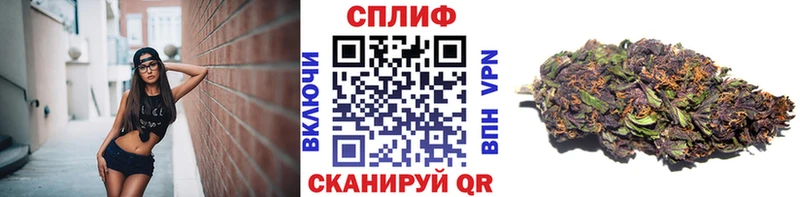 где продают наркотики Заволжск Конопля конопля